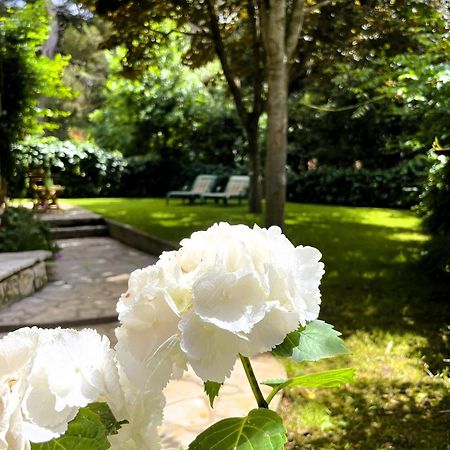 Apartment Balthazar Rovinj Ngoại thất bức ảnh